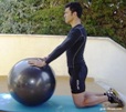 core workout-fitball-abdominal-fitball-plank