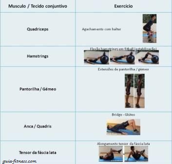 joelho-fortalecer o joelho-exercicios forca-treino forca