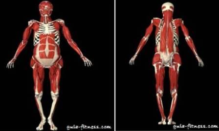 treino core integral-musculos-core