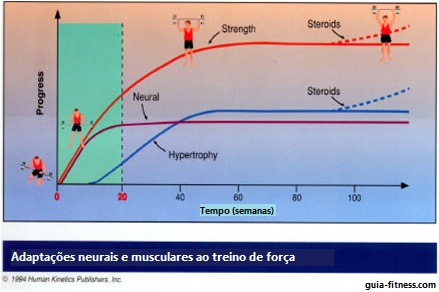 adaptações ao treino de força