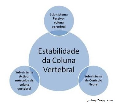 treino core integral-coluna vertebral-core-anatomia treino core integral-coluna vertebral-core-anatomia