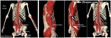 treino core integral-musculos estabilizadores-anatomia