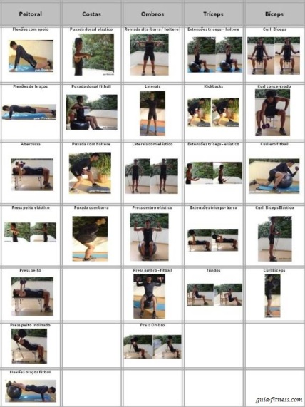 Organizar treinos-exercicios-treino força-exercícios tronco Organizar treinos-exercicios-treino força-exercícios tronco