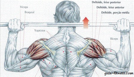 ombros-musculo-corpo-culturismo