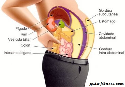 gordura localizada-treino abdominal-perder peso-perder gordura