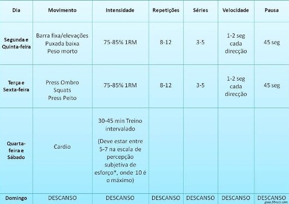 plano treino força