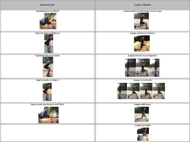 Organizar treinos-exercicios-treino força-exercicios perna Organizar treinos-exercicios-treino força-exercicios perna