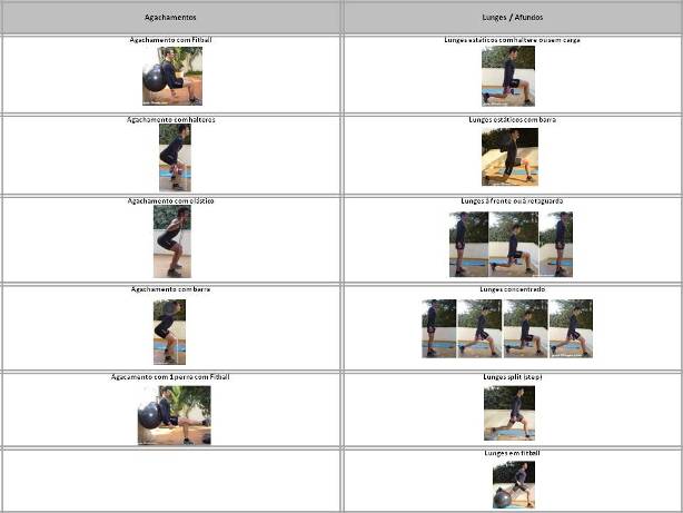 Organizar treinos-exercicios-treino força-exercicios perna