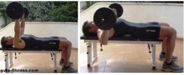 Treino corpo total-treino força-treino peito Treino corpo total-treino força-treino peito